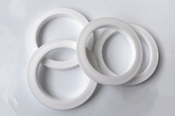 কাস্টম উপাদান স্ট্যান্ডার্ড আকার 2&quot;3&quot;4&quot; PTFE হ্যামার ইউনিয়ন ঠোঁট সীল রিং
