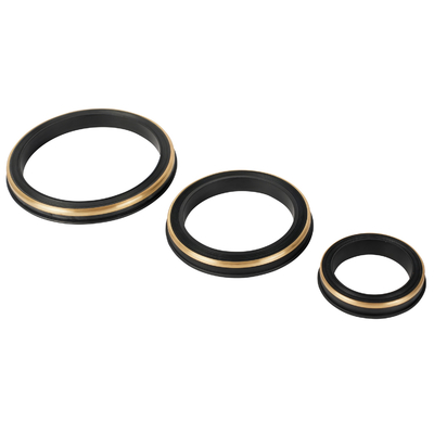 তেল খনন শিল্প হ্যামার ইউনিয়ন সীল Nbr Hnbr Fkm Ptfe