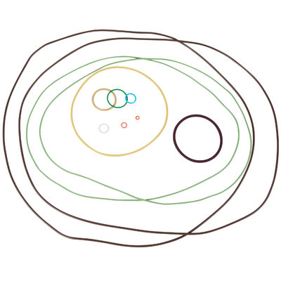 O-ring প্রস্তুতকারক প্রিমিয়াম তেল প্রতিরোধী AS568 স্পষ্টতা FFKM রাবার O-rings প্রাকৃতিক গ্যাসের জন্য