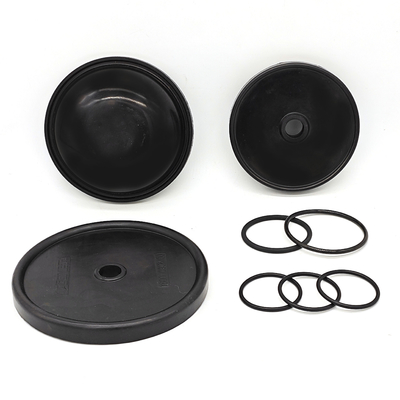 OEM ওডিএম ডায়াফ্রাম পাম্প রাবার ঝিল্লি কিট