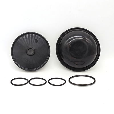OEM ওডিএম ডায়াফ্রাম পাম্প রাবার ঝিল্লি কিট