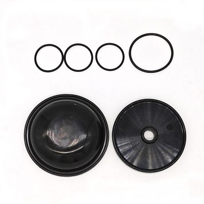 Ar30/40 পাম্পের জন্য ব্লুফ্লেক্স ডায়াফ্রাম কিট