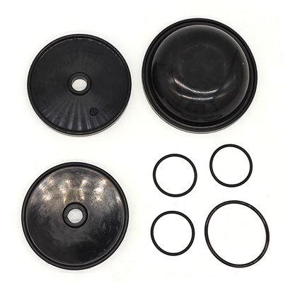 Ar30/40 পাম্পের জন্য ব্লুফ্লেক্স ডায়াফ্রাম কিট