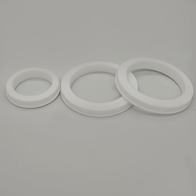 উচ্চ চাপ পাইপ সংযোগের জন্য FKM PTFE হ্যামার ইউনিয়ন সিল
