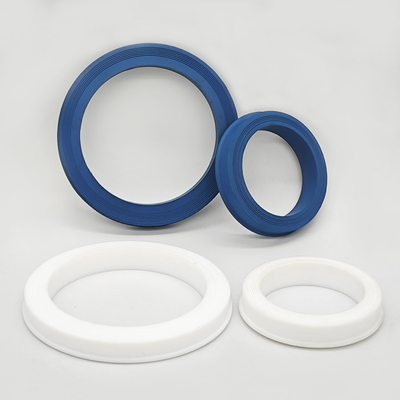উচ্চ চাপ পাইপ সংযোগের জন্য FKM PTFE হ্যামার ইউনিয়ন সিল
