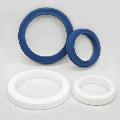 রাসায়নিক পাইপলাইনের জন্য PTFE হ্যামার ইউনিয়ন সীল