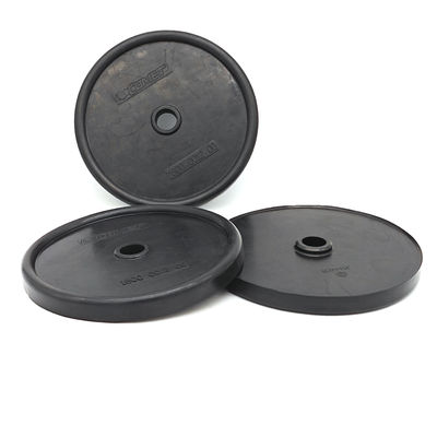 কাস্টমাইজড এনবিআর নাইট্রাইল ডায়াফ্রাম পাম্পের ঝিল্লি, ৩ বছরের ওয়ারেন্টি এবং ৭-২১ দিনের ডেলিভারি সহ