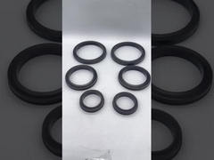 স্টেইনলেস স্টীল দিয়ে উচ্চ কার্যকারিতা Buna/FKM/HSN হ্যামার ইউনিয়ন সীল